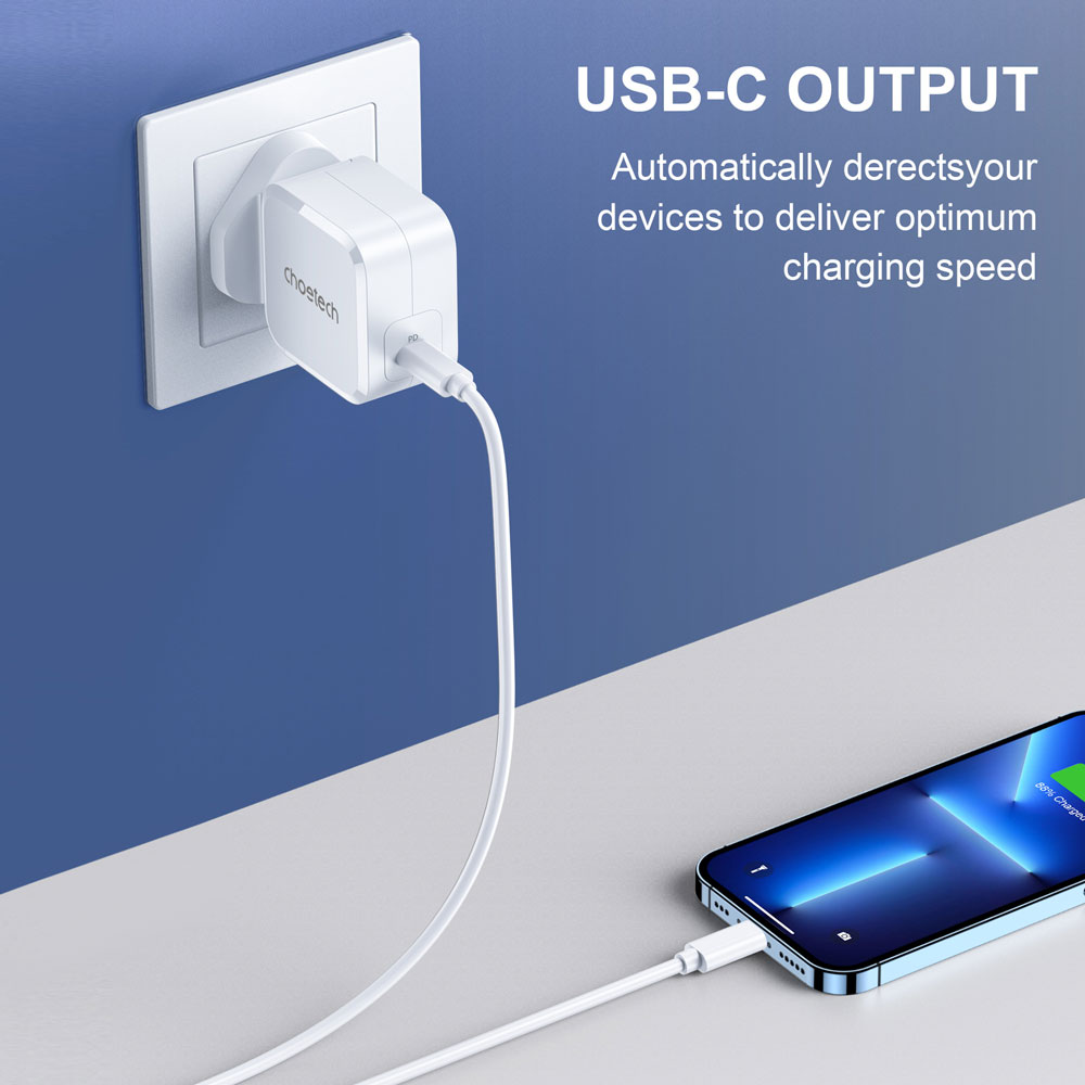 PD8007 - Wall Charger 