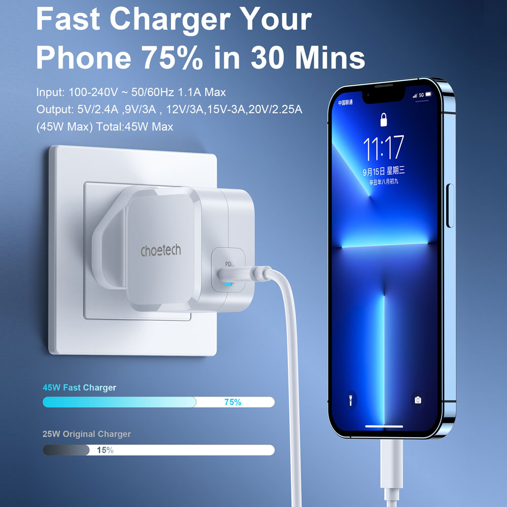 PD8007 - Wall Charger 